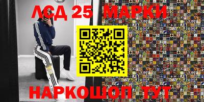 спиды Аргун