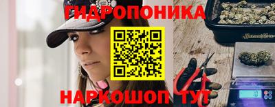 спиды Аргун
