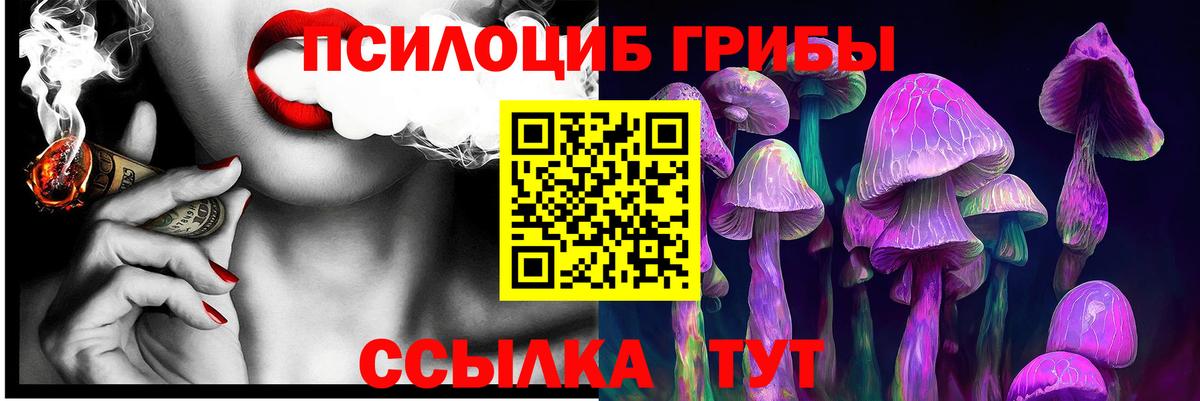 Псилоцибиновые грибы Psilocybine cubensis Анапа